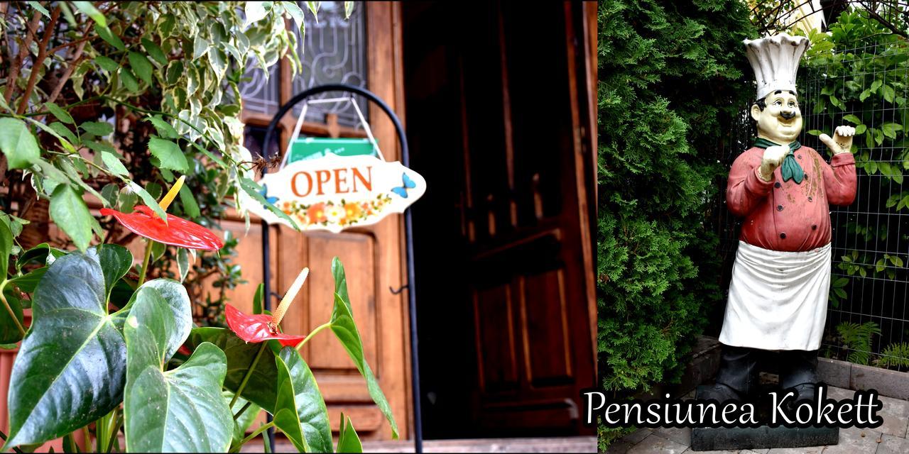 Pension Kokett Cîmpulung Exterior foto